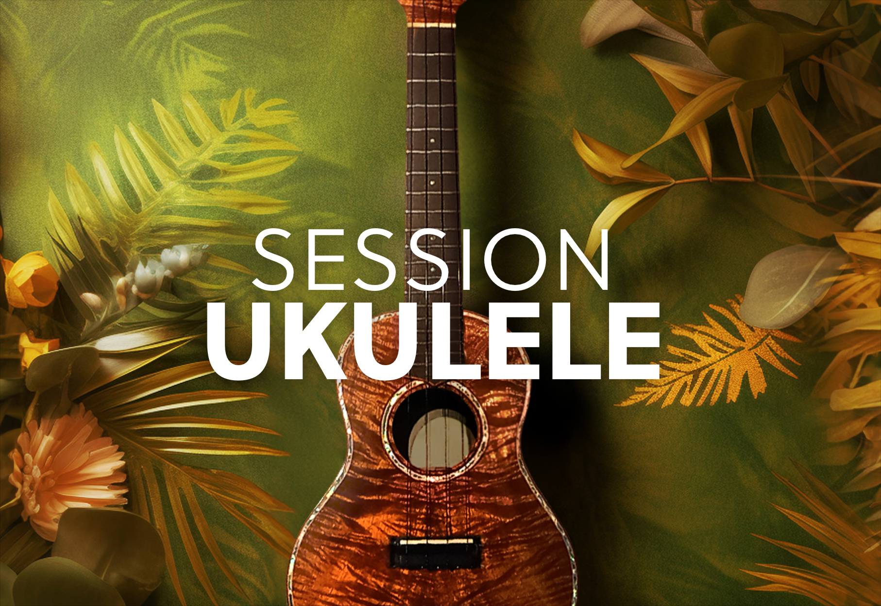 Native Instruments Session Ukulele